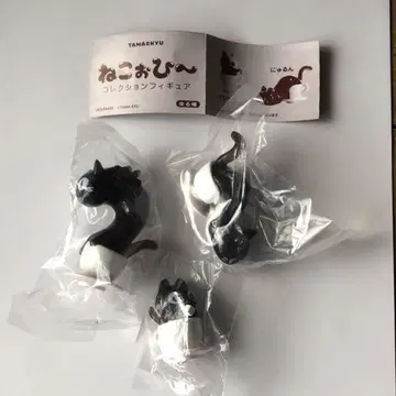 고양이 3개 세트