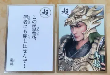 삼국무쌍 8 영걸 카르타 마초