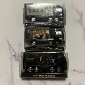 Acid Black Cherry 투어 트랙