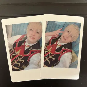 팬더 드래곤 파라곤 하피카 요타