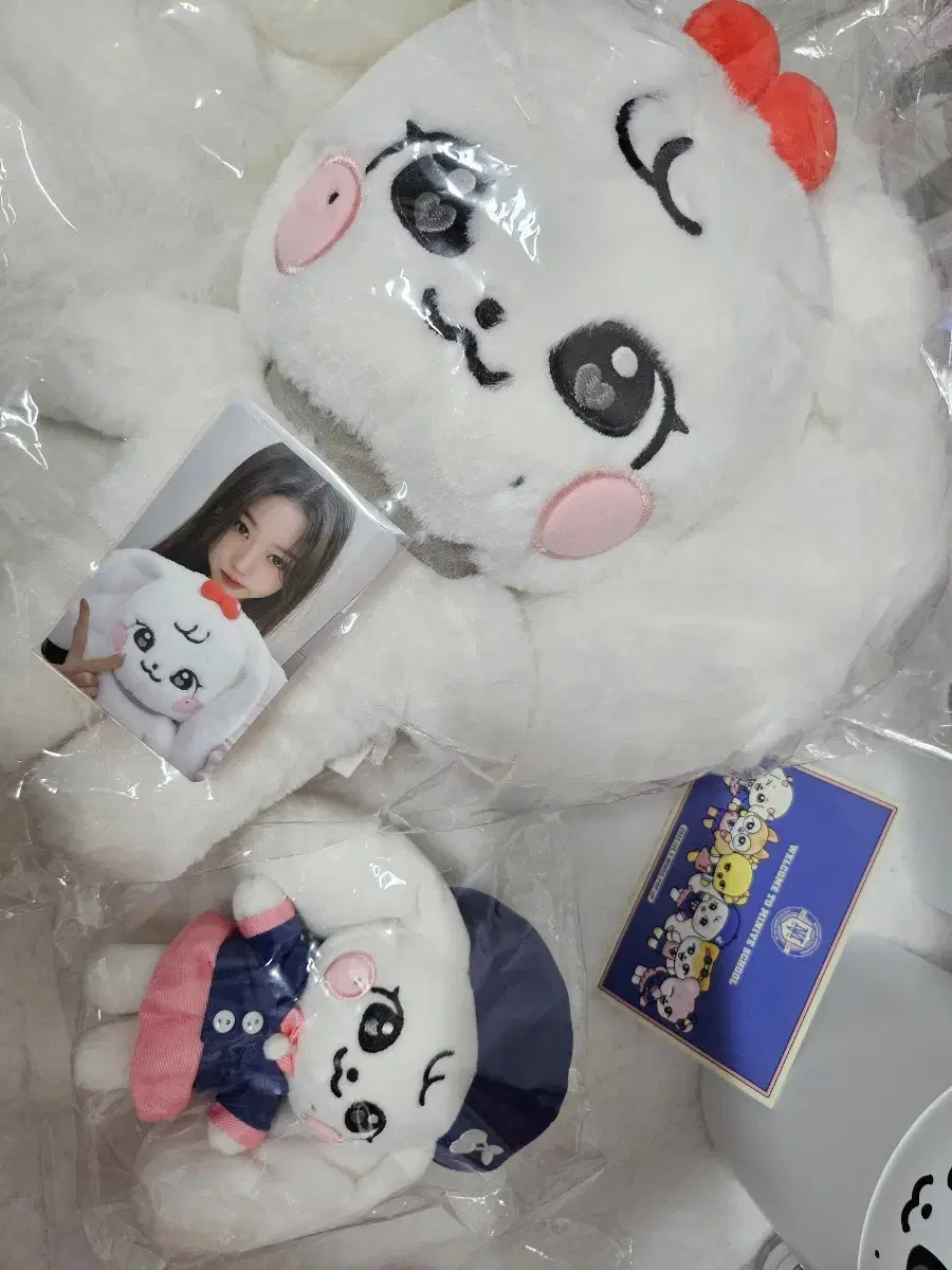 미니브팝업스쿨 체리녕30cm(포카O)+스쿨체리녕10cm