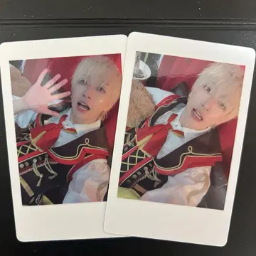 팬더 드래곤 파라곤 하피카 요타