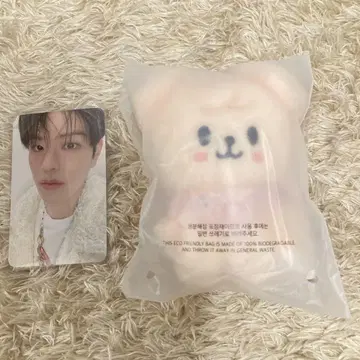 K-POP 10cm 인형 퍼핌 승민 스키즈