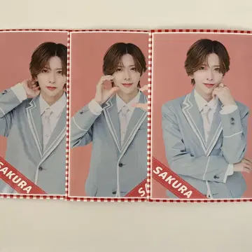 라부시쿠 훼미리마트 프린트 사쿠라 콤플렉스