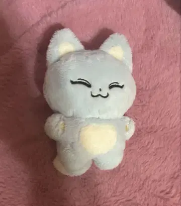 폭스빈