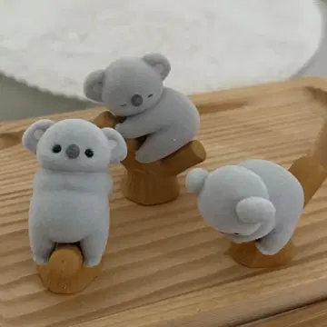 베비코아라 가챠 3종