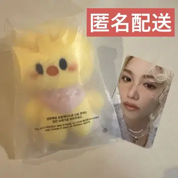 5'CLOCK 포가리 PLUSH & 혜택 트레이딩 카드 필릭스