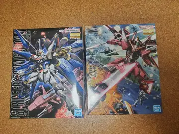 MG 1/100 스트라이크 프리덤 건담 인피니트 저스티스 세트