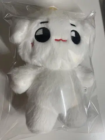 테용 테용 마스터 20cm
