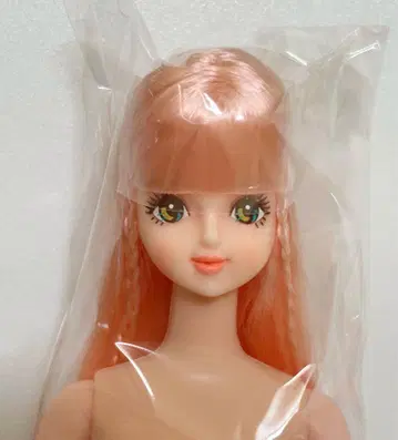리카짱 캐슬 사야카 제니 프렌드