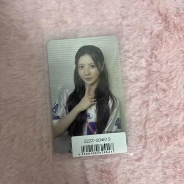 니지우 마야 라키드로