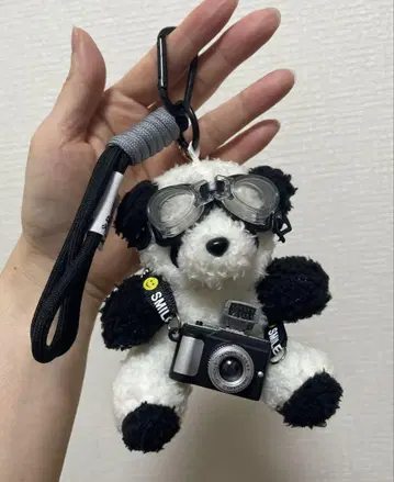팬더 백 참