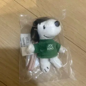 스타벅스 스누피 키체인 스타벅스 키링 PEANUTS