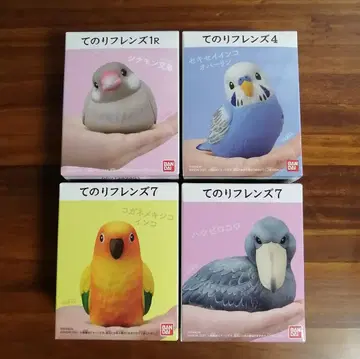 테노리 프렌즈 시나몬 문조 세키세이 잉꼬 코가네 멕시코 잉꼬 하시비로코