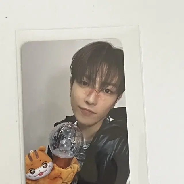 에이티즈 홍중 애니티즈 트레저 응원봉 스트랩 포카