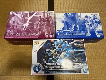 RG 데스티니 임펄스, 톨기스 III HG G-셀프 건담 베이스