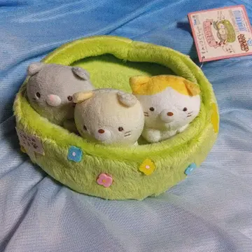 멀티 트레이 고양이 스미코구라시 3남매