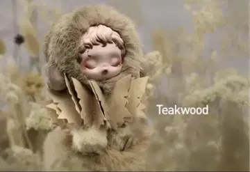 스컬 팬더 Teakwood Impressionisme 커스텀 인형