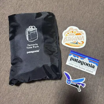 Patagonia 테라비아 토트 팩 블랙 48814