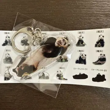 어드벤처 월드 시크릿 유이하마 아크릴 키링
