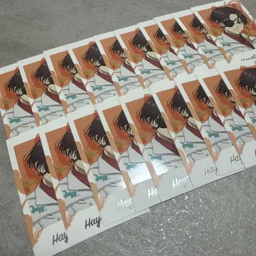 소방슌비 AGF 애니플렉스 사진풍 카드 포토 카드 윈브레