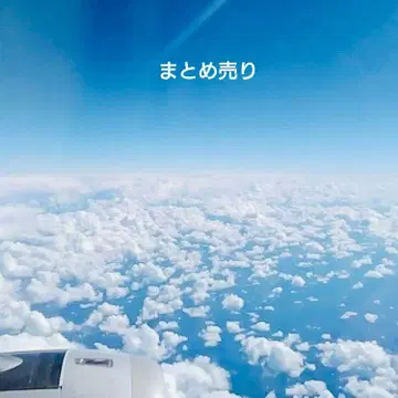 프로세카 묶음 판매