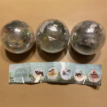 어드벤처 월드 카프리움 팬더 사자 바다사자 세트