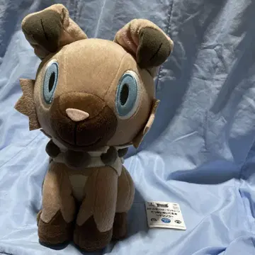 포켓몬스터 이완코 봉제 인형