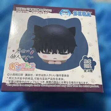 다음 생은 다른 사람이 좋겠어요 낮잠 고양이 토리 아사마 피규어