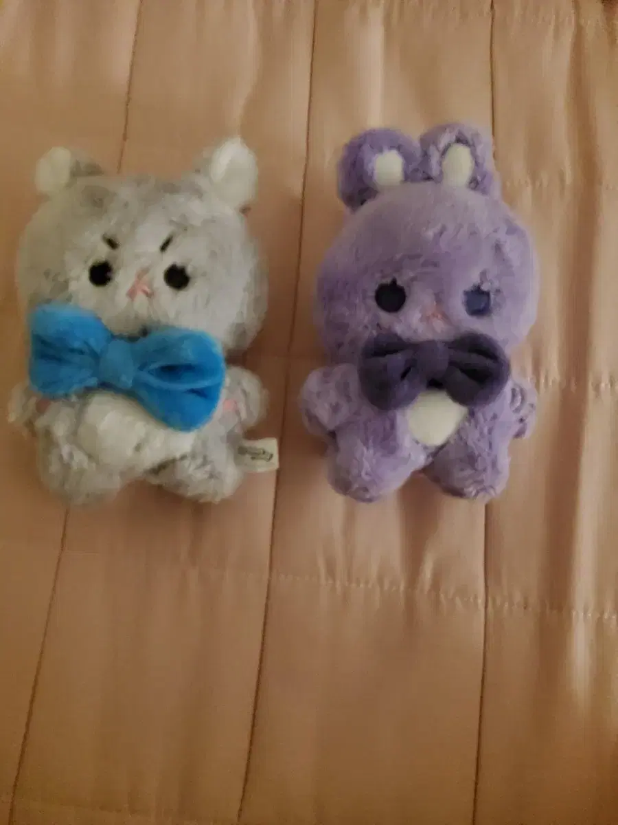 Debumujuk unofficial goods photocard + Debumujuk doll