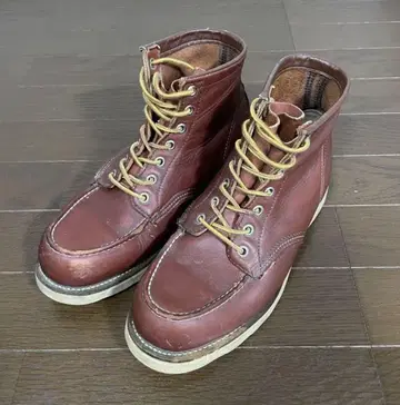 초레어 표견 택 REDWING 8875 레드윙 아이리쉬 세터 8