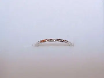 반지, 파인 스틸, 스테인리스, 반지 11호, 블룸