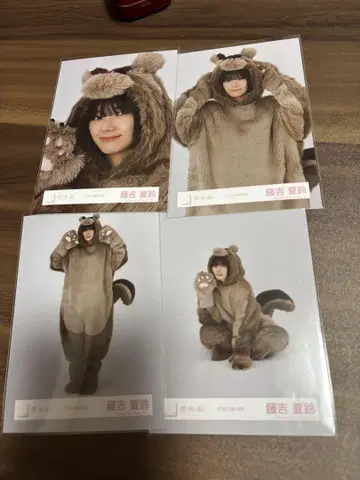 사쿠라자카46 후지요시 카린 동물 인형옷 4종 컴프 브로마이드