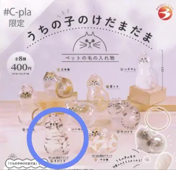 우리 아이의 털 뭉치 C-pla 키지트라