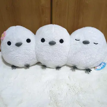 후쿠후쿠 시마연가 더한 봉제 인형 부드러운 울트라 BIG 꽃