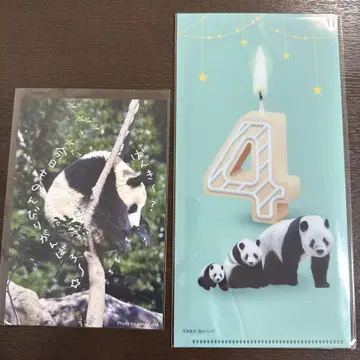 엽서 & 마쓰자카야 우에노 티켓 홀더 샤오샤오