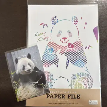 샨샨 엽서 및 페이퍼 파일