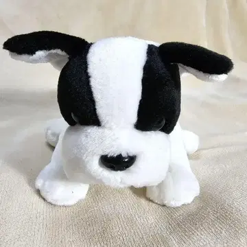 [새상품급] 블랙 화이트 개 봉제 인형