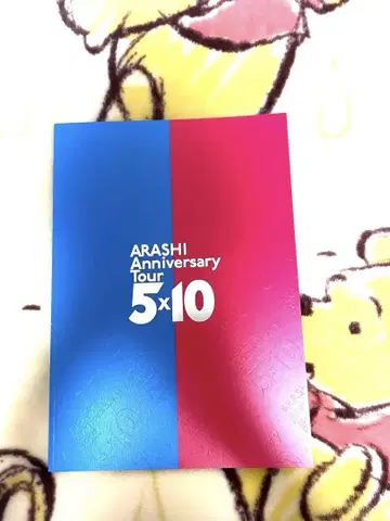 아라시 콘서트 모음집