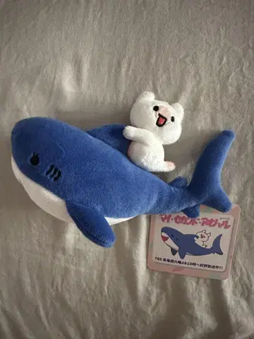 곰과 상어 봉제 인형 약 20cm