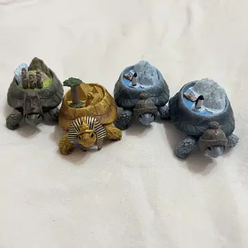 대륙 거북이 4종 세트