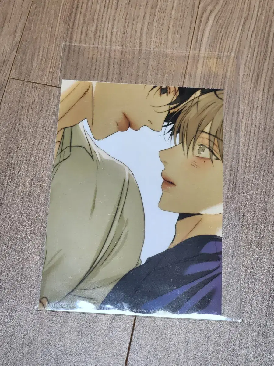 Team Lezhin pop up Desire Skinship printed photo wts