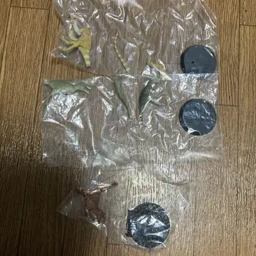 가챠가챠 후쿠이베나토루 티라노사우루스 유체 아성체 베로키라프토르