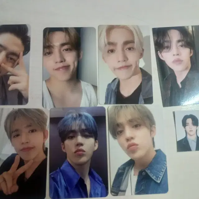 세븐틴 포카