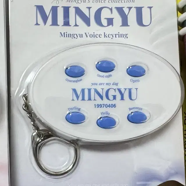세븐틴 민규 보이스키링 양도합니다