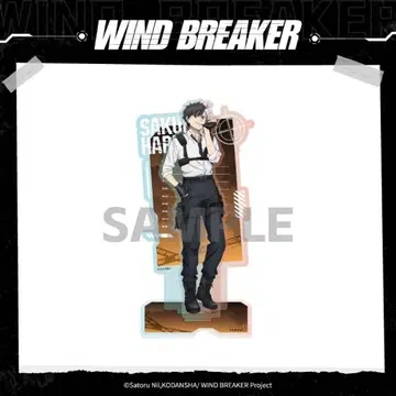 WIND BREAKER 벚꽃 하야 아크릴 스탠드 상하이 한정판