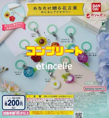 당신에게 보내는 꽃말 메지루시 액세서리 8종 컴플리트 컴프