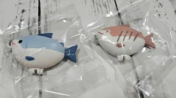 물고기 콤팩트 거울 연어 구운 생선
