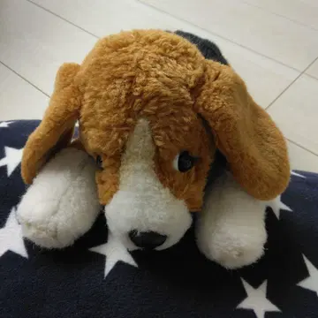 비글 봉제 인형 중형