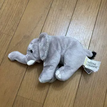 내셔널 지오그래픽 코끼리 봉제 인형 약 20cm